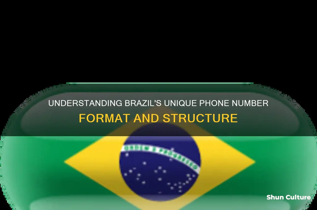 how does brazil number look like