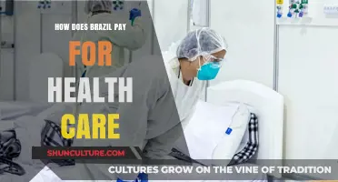 Brazil's Health Care Financing: Public, Private, and Universal Coverage Explained