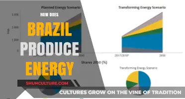 Brazil's Energy Mix: Exploring Renewable and Non-Renewable Power Sources
