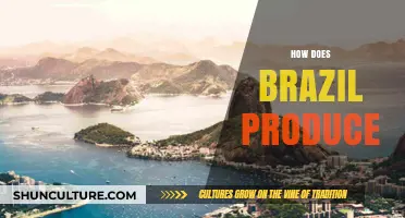 Brazil's Production Powerhouse: Unveiling the Secrets of Its Economic Success