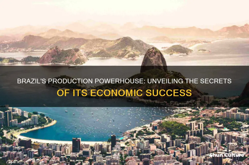 how does brazil produce