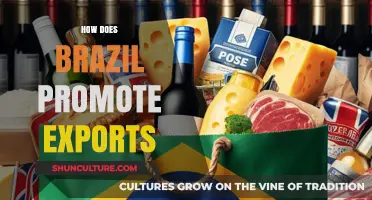 Brazil's Export Strategies: Boosting Global Trade and Economic Growth