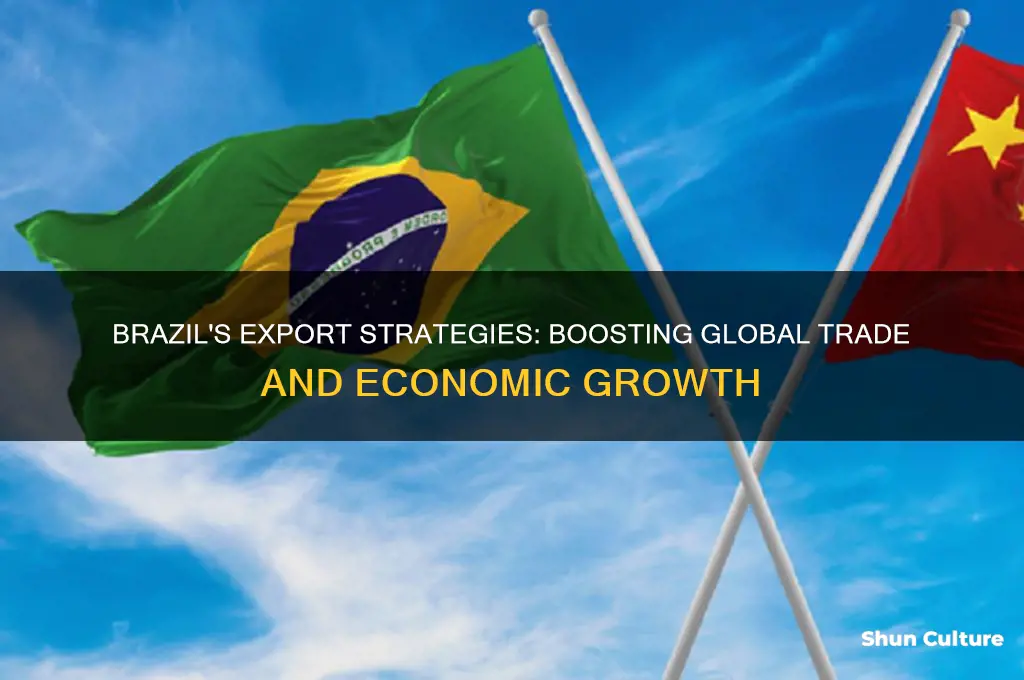 how does brazil promote exports