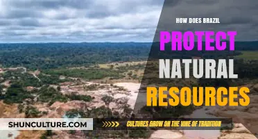 Brazil's Strategies to Safeguard Its Rich Natural Resources and Ecosystems