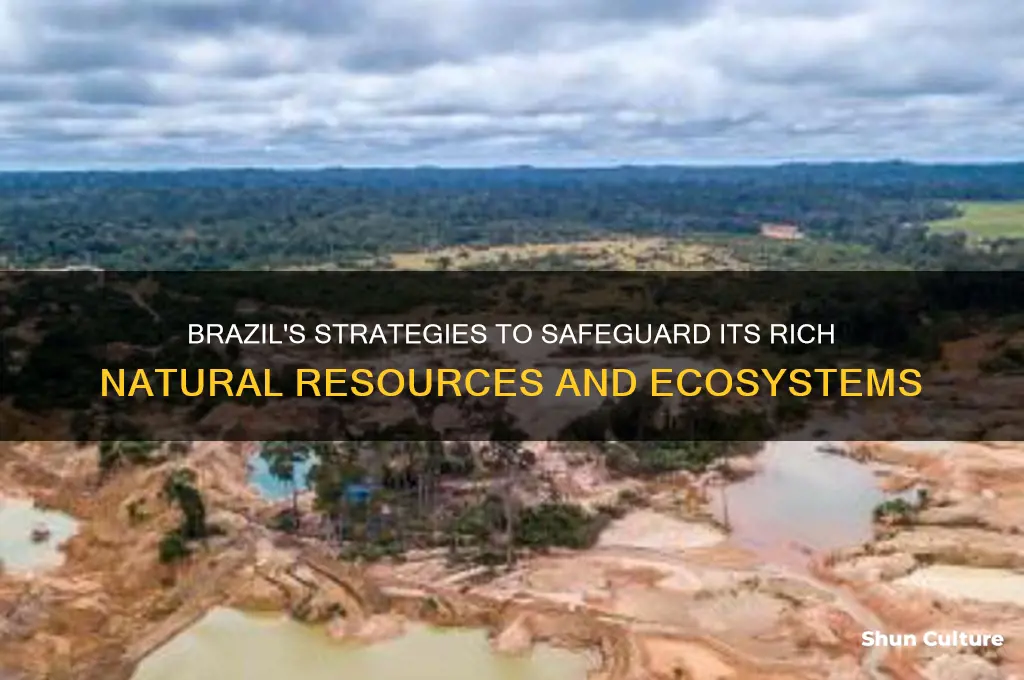 how does brazil protect natural resources
