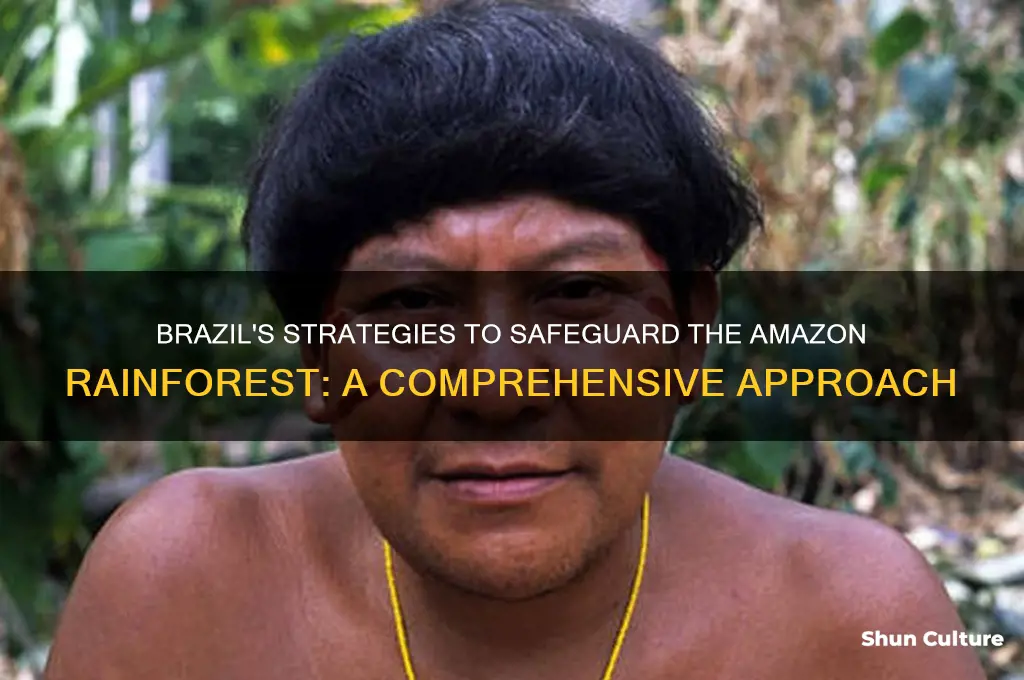how does brazil protect the amazon