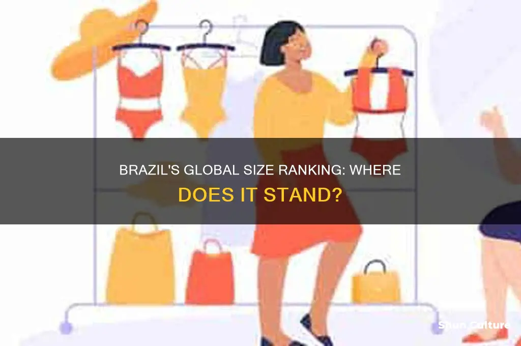 how does brazil rank in size in the world