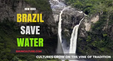 Brazil's Innovative Water Conservation Strategies for a Sustainable Future