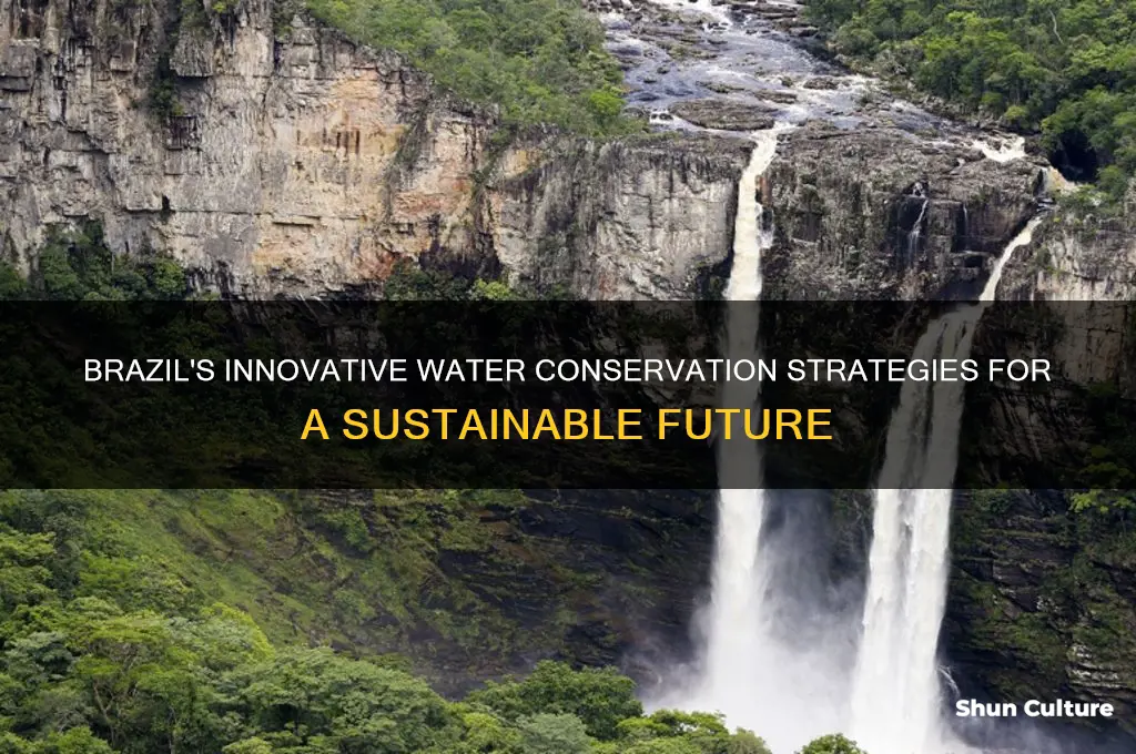 how does brazil save water