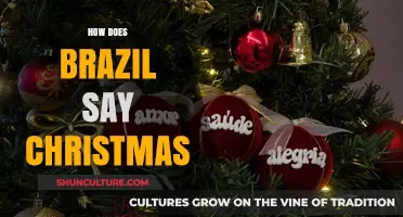 How Brazil Celebrates Christmas: Unique Traditions and Festive Greetings