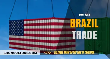 Brazil's Trade Dynamics: Strategies, Partners, and Global Economic Impact