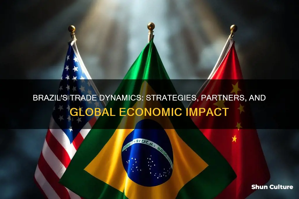 how does brazil trade