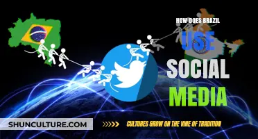 Brazil's Social Media Landscape: Trends, Usage, and Cultural Impact