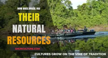 Brazil's Natural Resources: Sustainable Use and Economic Impact Explored