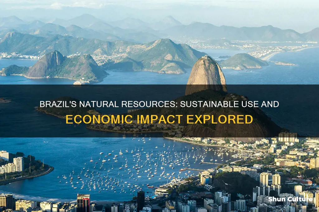 how does brazil use their natural resources