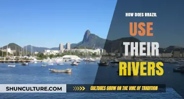 Brazil's Rivers: Powering Economy, Sustaining Life, and Shaping Culture