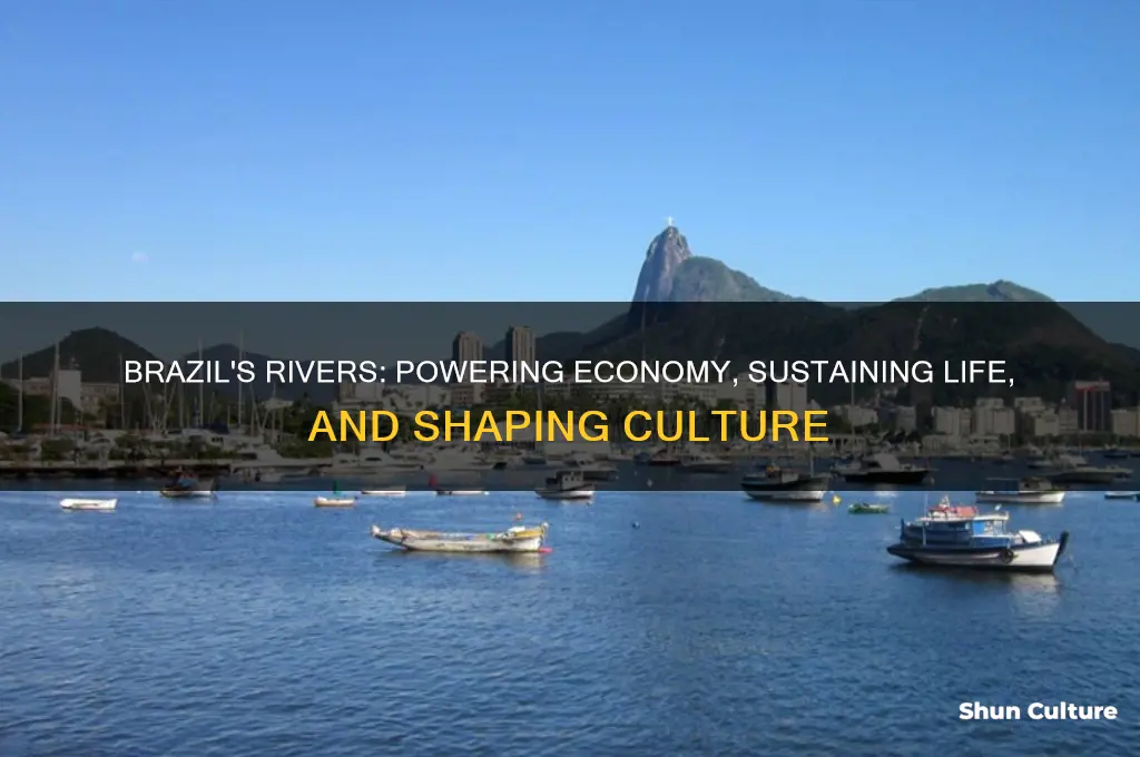 how does brazil use their rivers