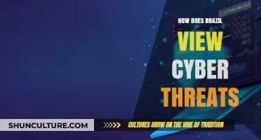 Brazil's Perspective on Cyber Threats: Challenges, Strategies, and National Security