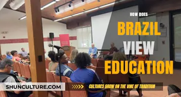 Brazil's Education Perspective: Challenges, Priorities, and Cultural Influences