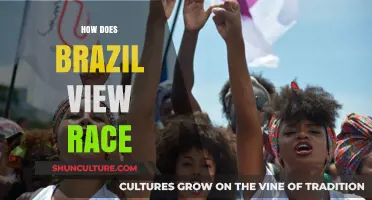 Brazil's Complex Racial Identity: Understanding the Country's Unique Perspective