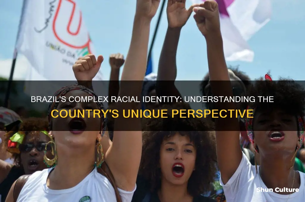 how does brazil view race