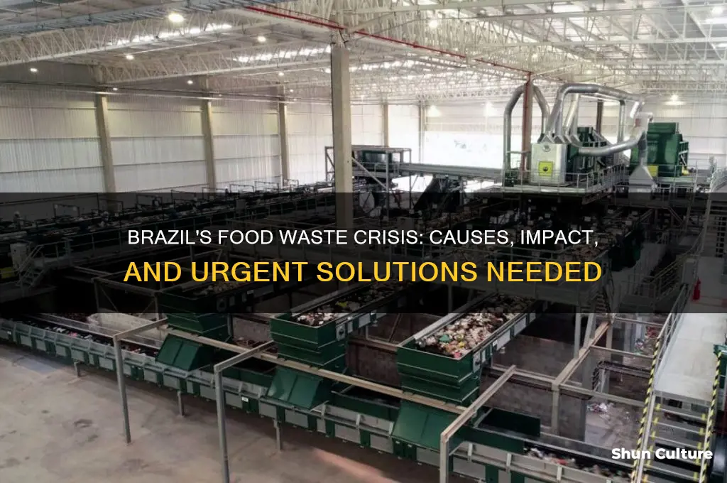 how does brazil waste their food