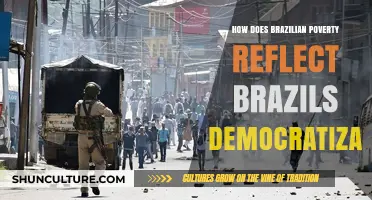 Brazil's Democratization: Poverty's Persistent Shadow in a Changing Nation
