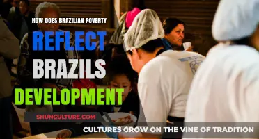Brazil's Poverty Paradox: Development Challenges and Inequality's Impact