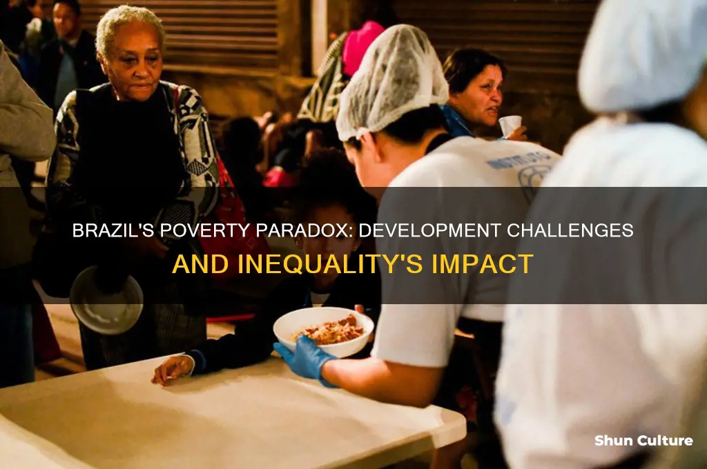 how does brazilian poverty reflect brazils development