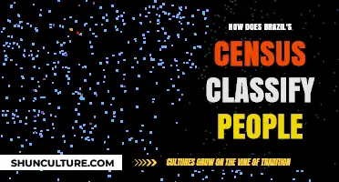 Brazil's Census Classification: Understanding Racial and Ethnic Categorization