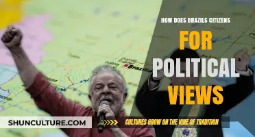 Brazil's Political Landscape: Understanding Citizens' Diverse Views and Beliefs