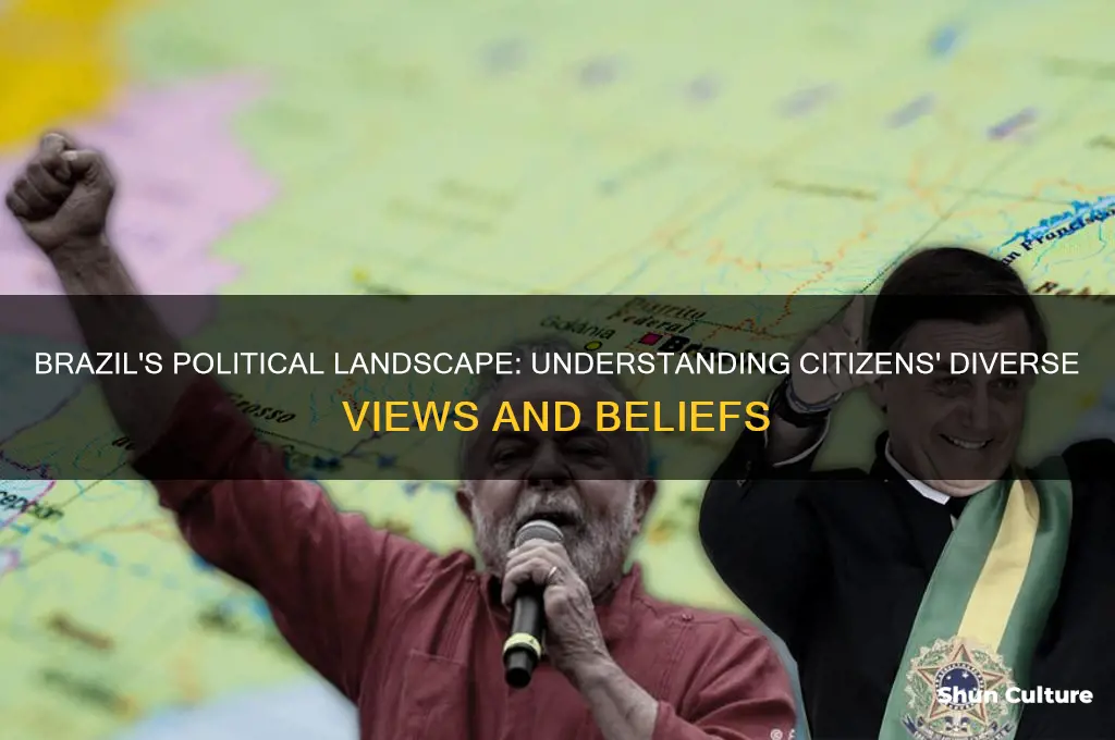 how does brazils citizens for political views