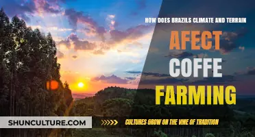 Brazil's Climate and Terrain: Shaping the Future of Coffee Farming
