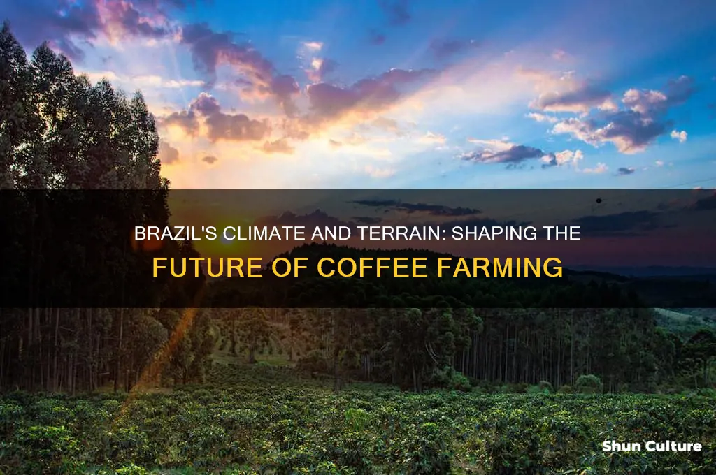 how does brazils climate and terrain afect coffe farming