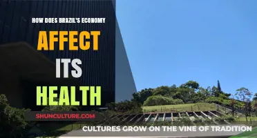 Brazil's Economic Impact: Shaping Public Health Outcomes and Challenges
