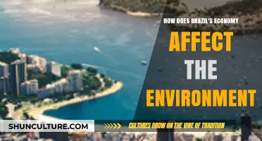 Brazil's Economic Growth: Environmental Impacts and Sustainability Challenges