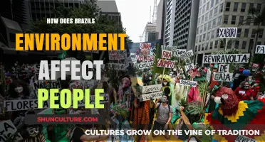 Brazil's Environment: Impacts on Health, Livelihoods, and Daily Life