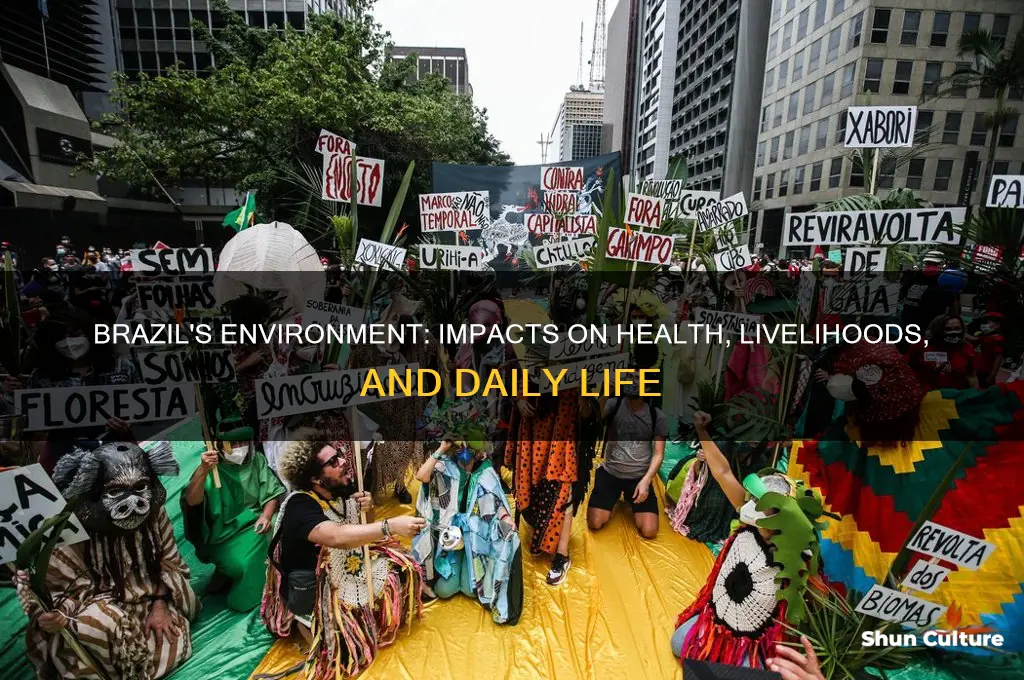 how does brazils environment affect people
