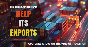 Brazil's Geography: A Strategic Advantage for Global Export Success