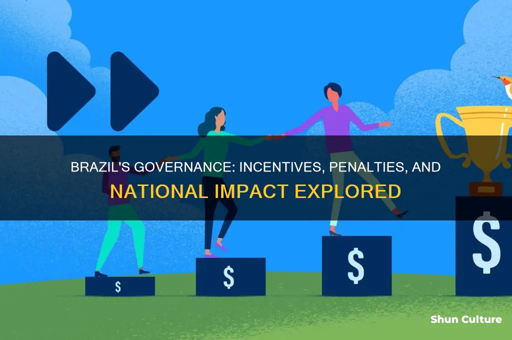 how does brazils government reward and punish its country