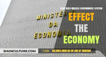 Brazil's Government System: Impact on Economic Growth and Stability