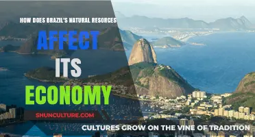 Brazil's Natural Resources: Fueling Economic Growth and Global Influence