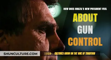 Brazil's New President: Views on Gun Control Policies and Reforms