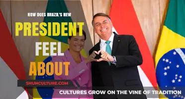 Brazil's New President: Perspectives, Priorities, and Policy Outlook