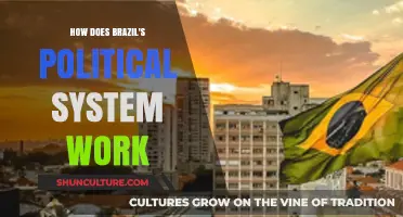 Understanding Brazil's Political System: Structure, Processes, and Key Players