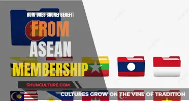 ASEAN Membership: Benefits for Brunei