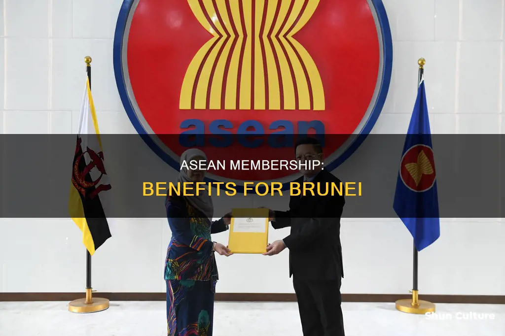 how does brunei benefit from asean membership