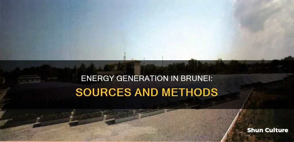 how does brunei generate its energy