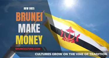 Brunei's Economy: Sources of Income and Wealth