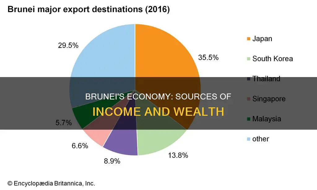 how does brunei make money